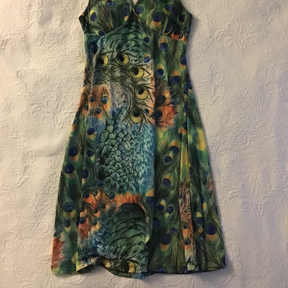 Peacock Swing Dress - Picture 2 of 6